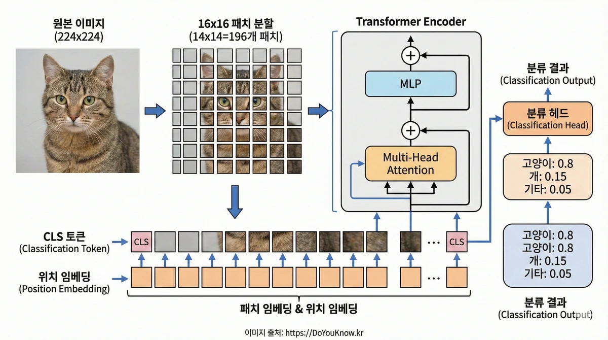 Vision Transformer(ViT) 아키텍처 다이어그램. 왼쪽: 원본 이미지(224x224). 가운데: 16x16 패치로 분할(14x14=196개 패치). 각 패치가 768차원 벡터로 임베딩. Transformer Encoder 통과. 오른쪽: 분류 결과. 'CLS 토큰'과 '위치 임베딩' 표시.