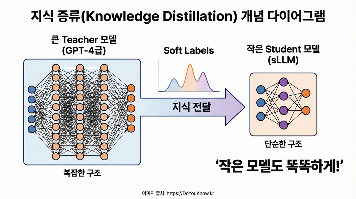 지식 증류(Knowledge Distillation) 개념 다이어그램. 왼쪽: 큰 Teacher 모델(GPT-4급, 복잡한 구조). 가운데: 화살표로 '지식 전달' 표시, Soft Labels, 확률 분포. 오른쪽: 작은 Student 모델(sLLM, 단순한 구조). '작은 모델도 똑똑하게!' 강조.
